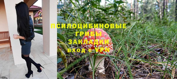крисы Нязепетровск
