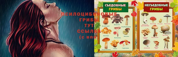 каннабис Арсеньев