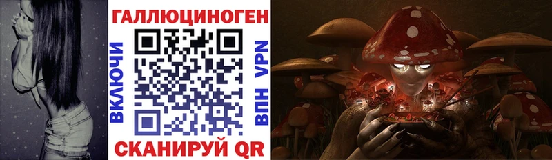 Галлюциногенные грибы Psilocybine cubensis  где можно купить наркотик  Семёнов 